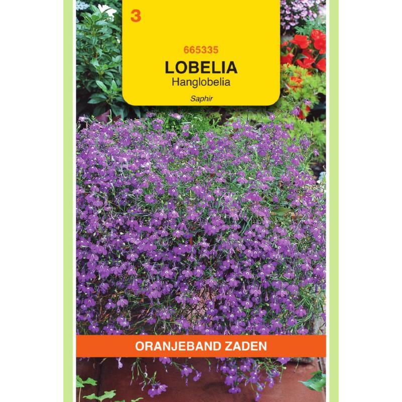 OBZ Lobelia Saphir, blauw