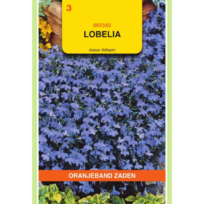 Oranjeband® Lobelia Erinus Comp.Kaiser Wilhelm