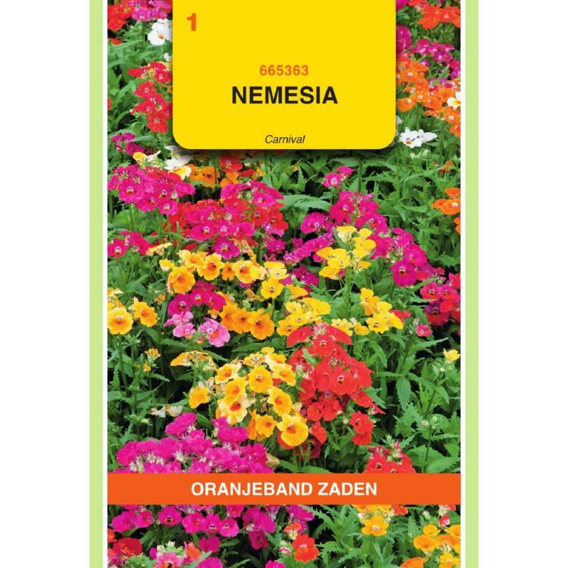 Oranjeband® Nemesia Comp. Grfl Carnival Mxd