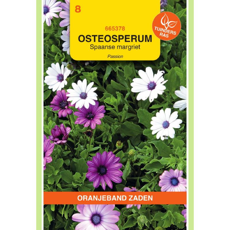 OBZ Osteospermum, Spaanse Margriet Passion gemengd