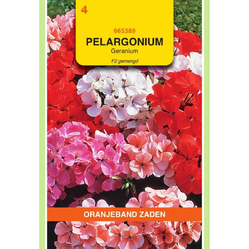OBZ Pelargonium, Geranium F2 gemengd