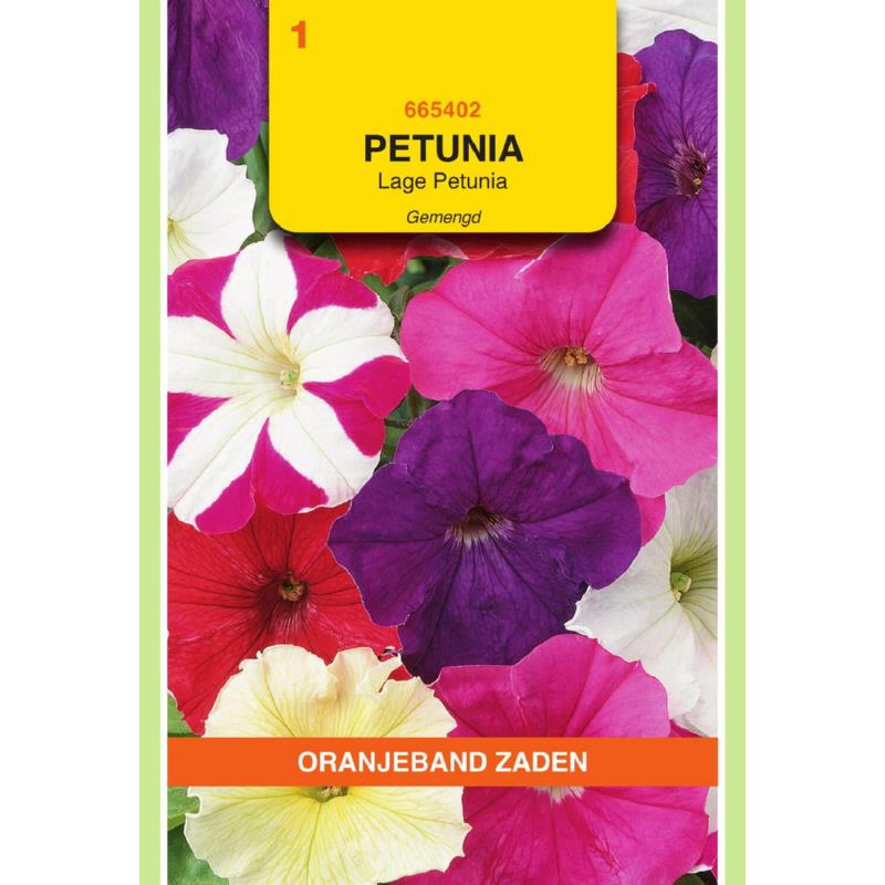 Oranjeband® Petunia Hybrida nana compacta mixed