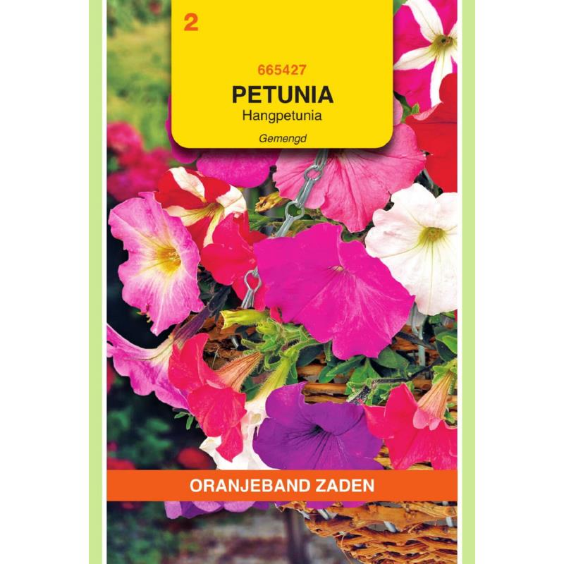 OBZ Petunia, Hangpetunia gemengd