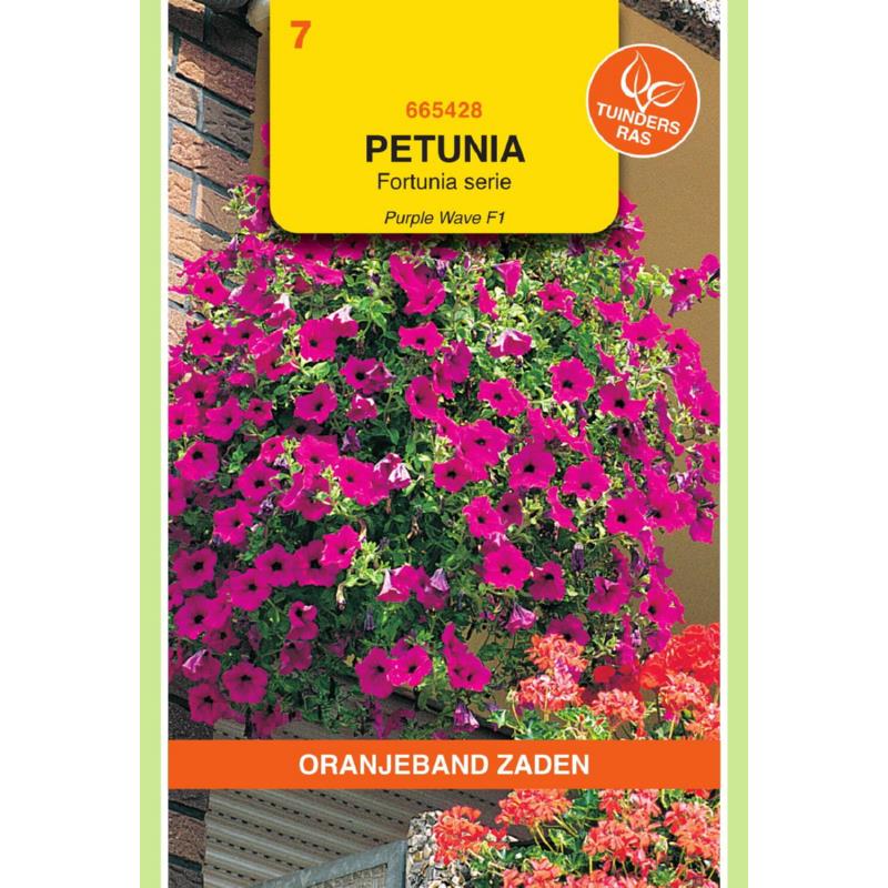 OBZ Petunia Purple Wave F1, Fortunia serie