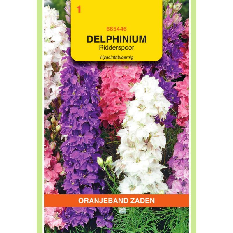 Oranjeband® Delphinium Aj. Hyacinth Flwd Dwarf Mixed