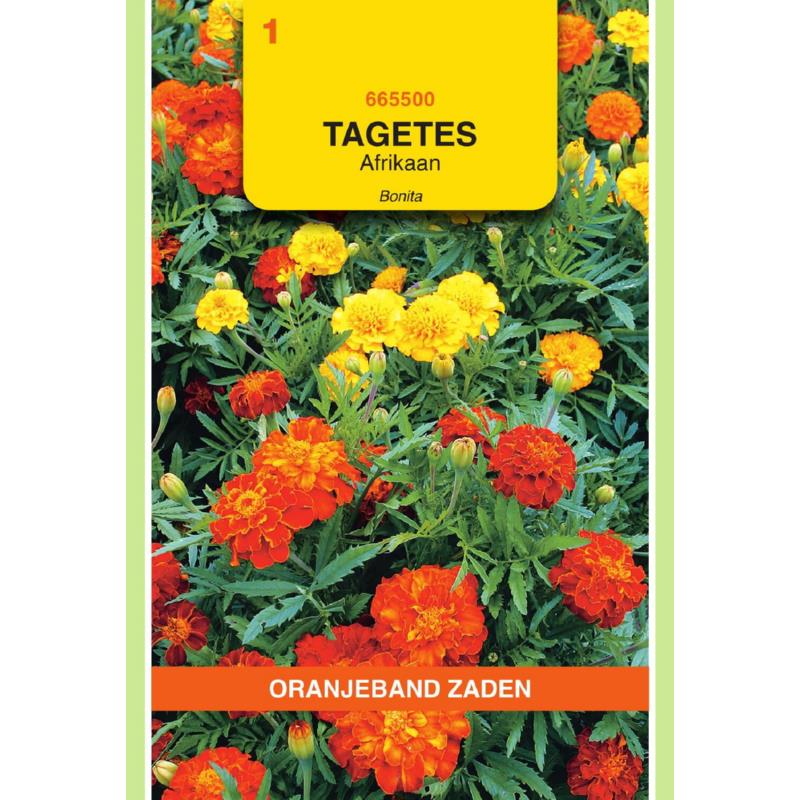 OBZ Tagetes, Afrikaan Bonita gemengd