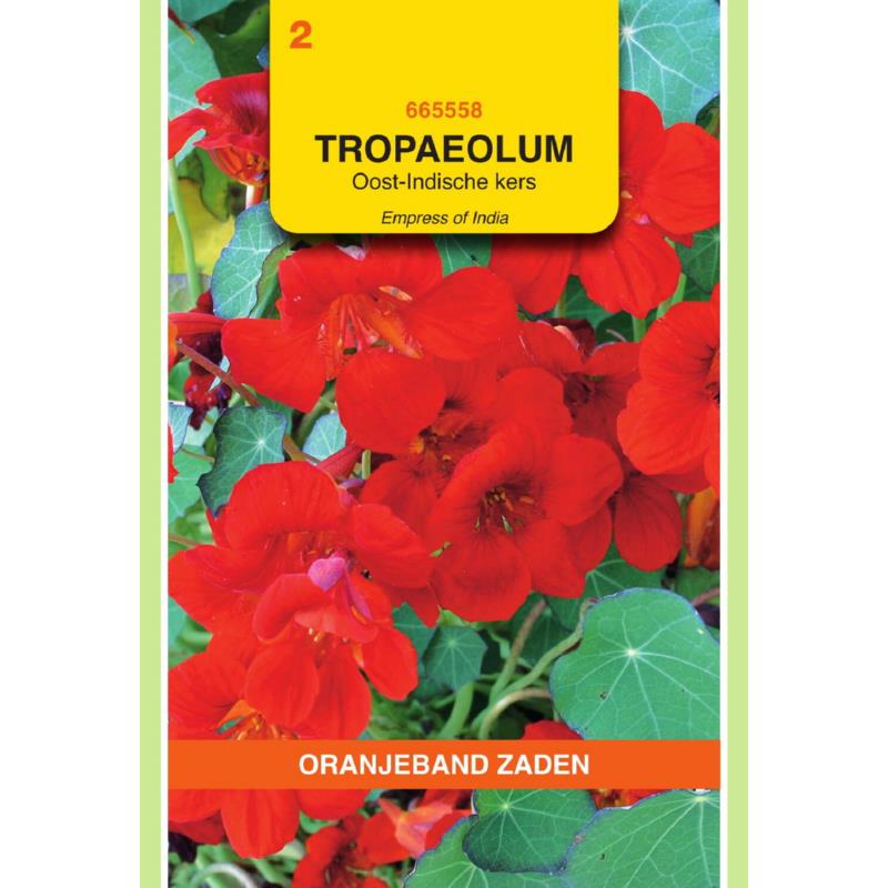 OBZ Tropaeolum, Oost-Indische kers Empress of India Rood