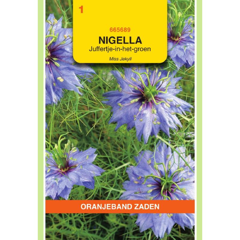Oranjeband® Nigella Damascena Miss Jekyll Blue