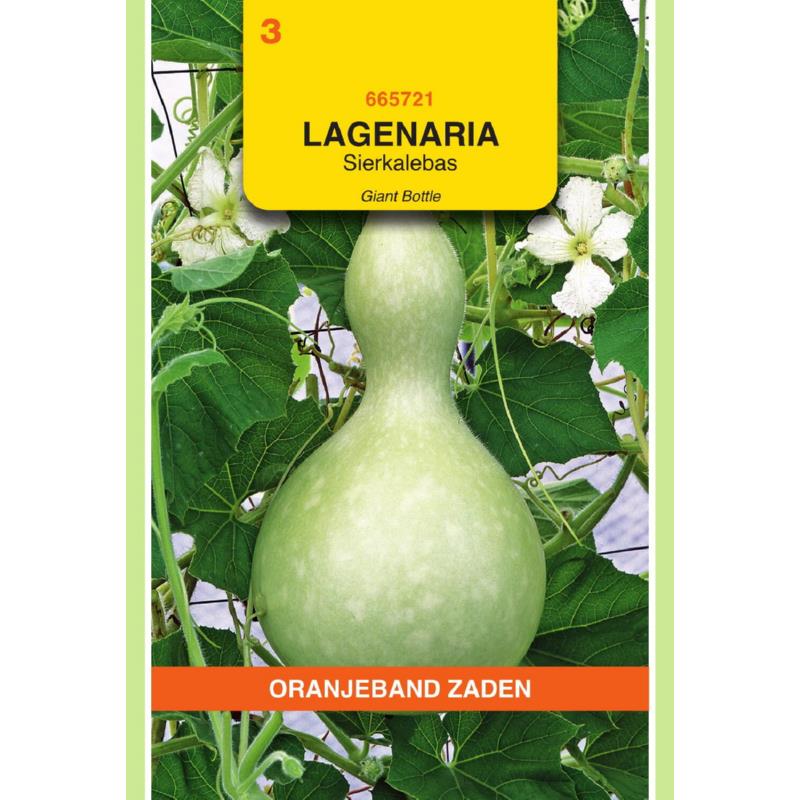 Oranjeband® Lagenaria siceraria - Bottle Gourd