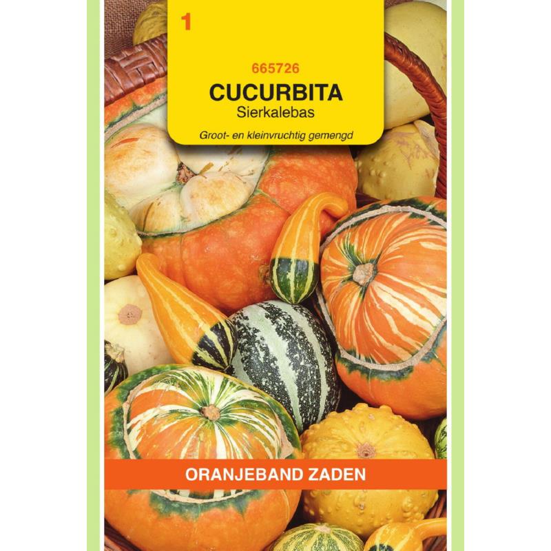 OBZ Cucurbita, Sierkalebas groot- en kleinvruchtig gemengd