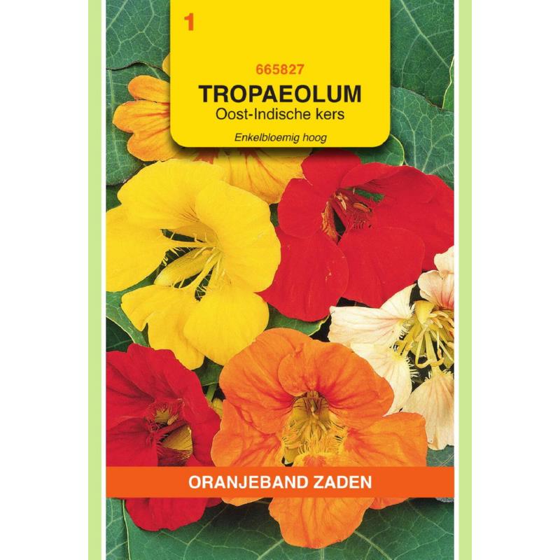 OBZ Tropaeolum, Oost-Indische kers enkelbloemig hoog