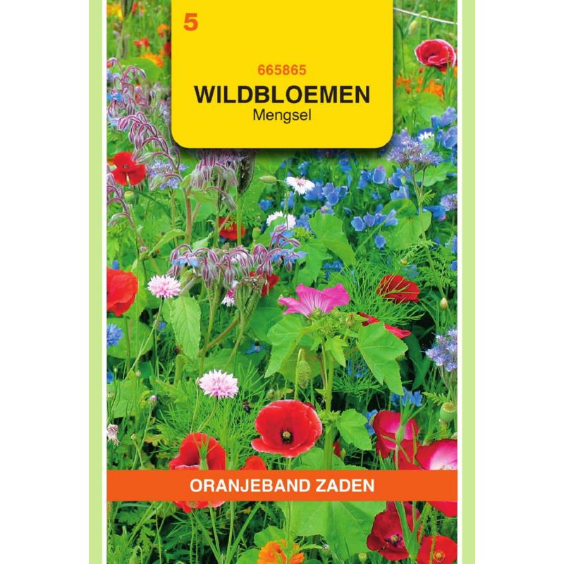 Oranjeband® Wildflower mixture