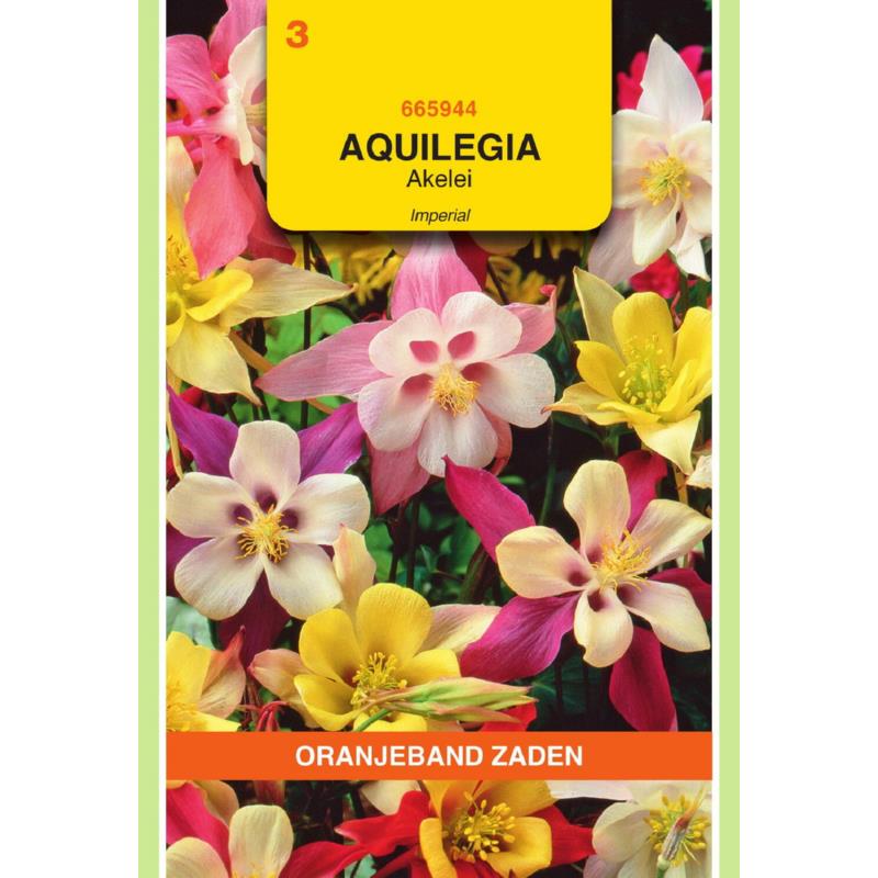 OBZ Aquilegia, Akelei Imperial gemengd