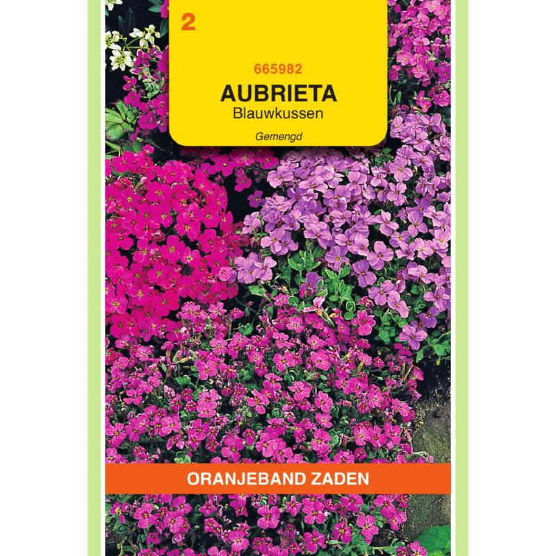 OBZ Aubrietia, Blauwkussen gemengd