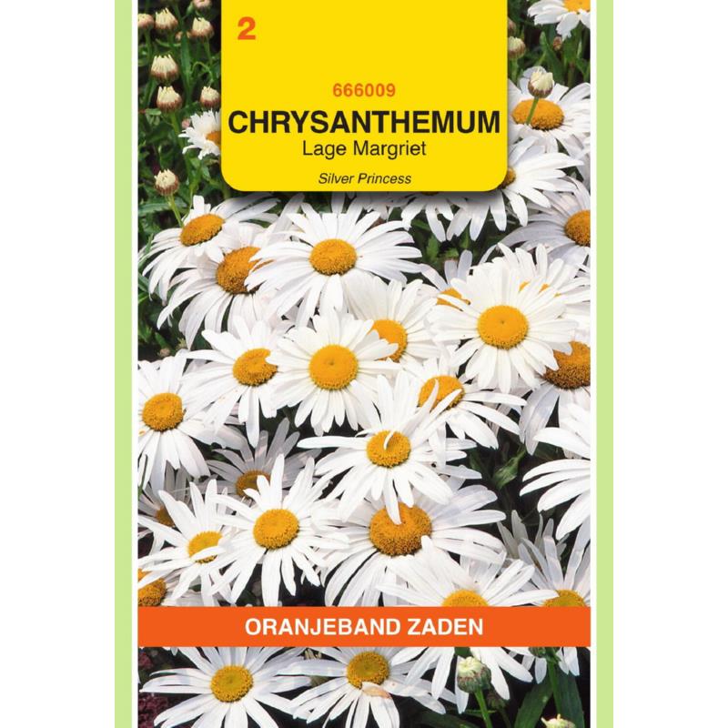 OBZ Chrysanthemum, Lage Margriet Silver Princess