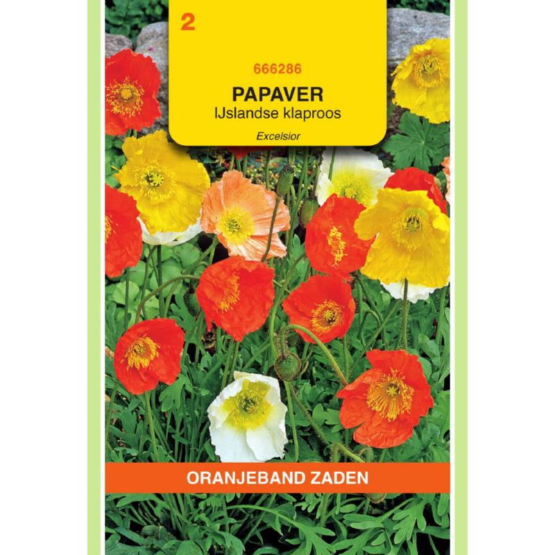 OBZ Papaver, IJslandse Klaproos gemengd
