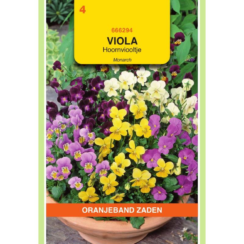 OBZ Viola, Hoornviooltje gemengd