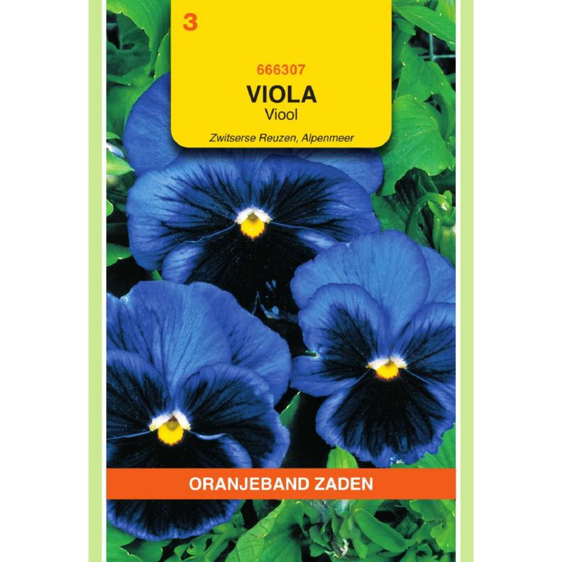 OBZ Viola, Viool Alpenmeer
