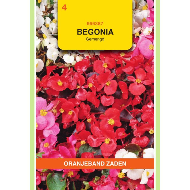 OBZ Begonia gemengd