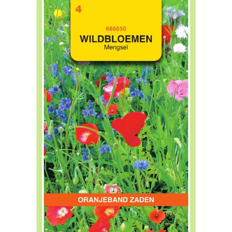 OBZ Wildbloemen mengsel eenjarig - 5 m²