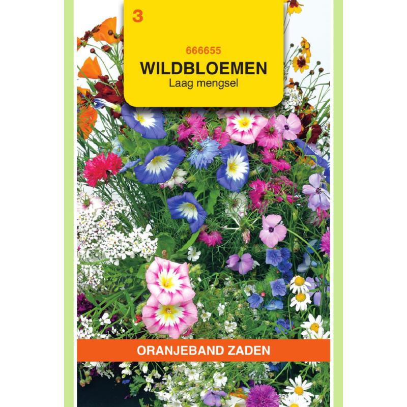 OBZ Wildbloemen mengsel eenjarig, laag