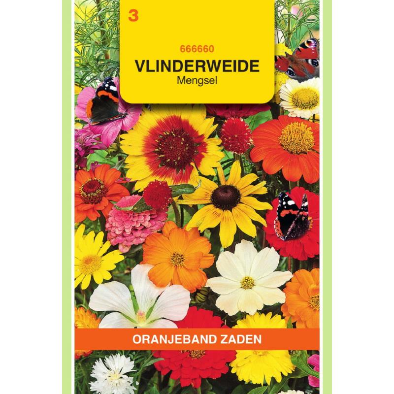 OBZ Vlinderweide mengsel