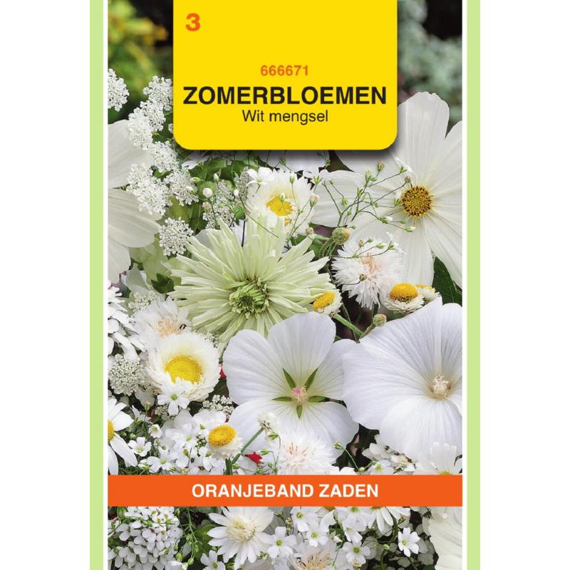 Oranjeband® Summerflowers, Mixture Of White Shades