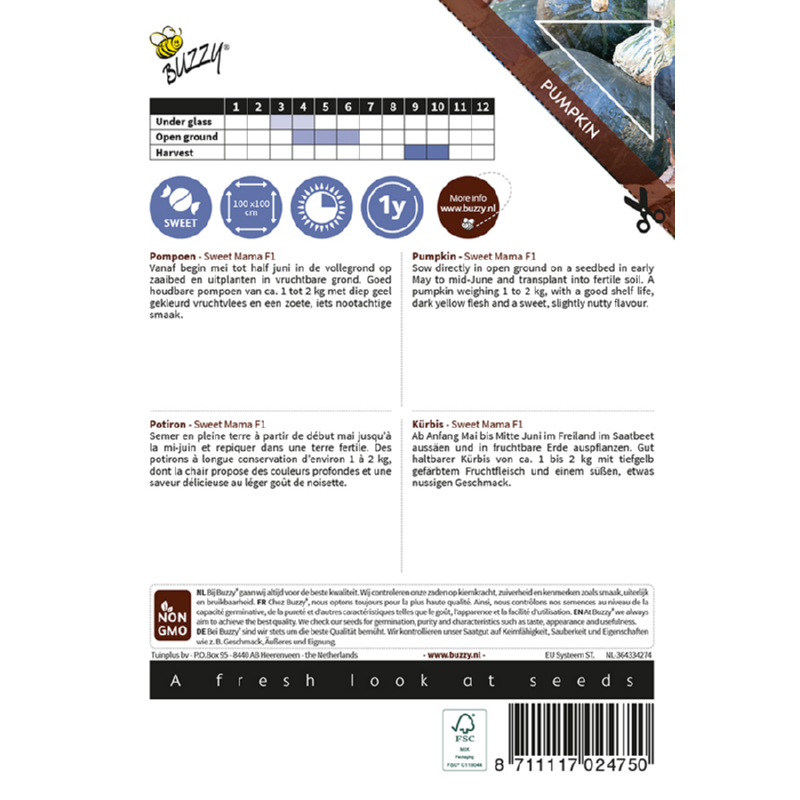 Buzzy® Ornamental, Pumpkin Sweet Mama F1