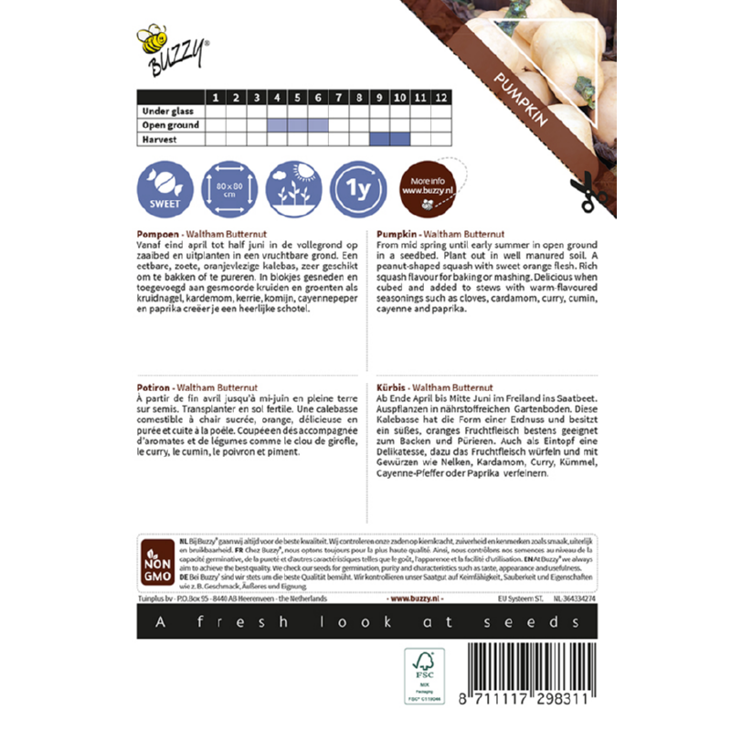 Buzzy® Ornamental Pumpkin Waltham Butternut