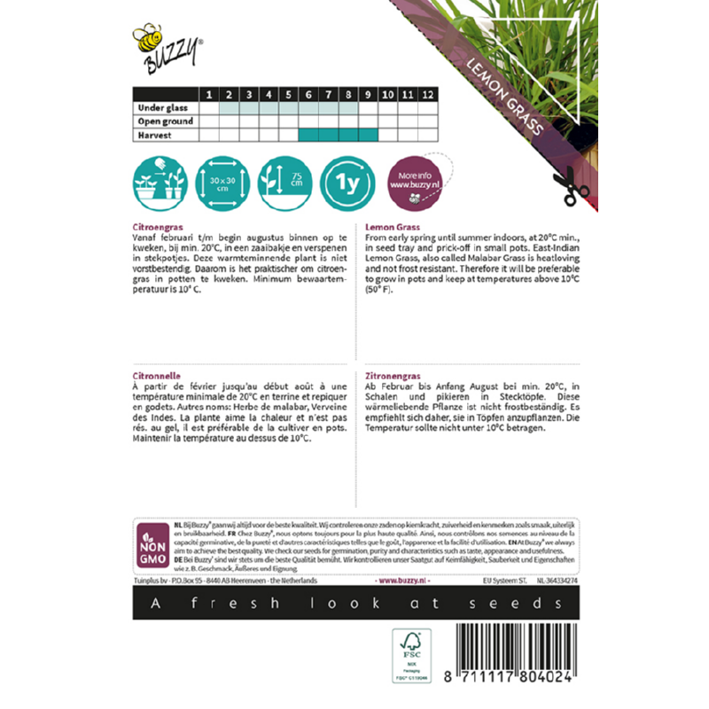 Buzzy® Xotica Lemon grass