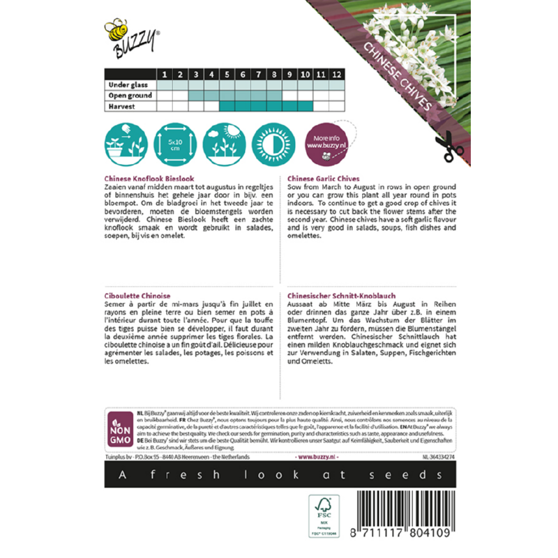 Buzzy® Xotica Chinese Bieslook