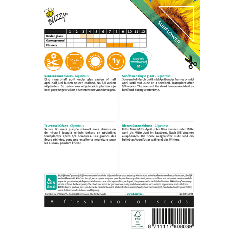 Buzzy® Sunny Flowers, Sunflower single Giant Giganteus
