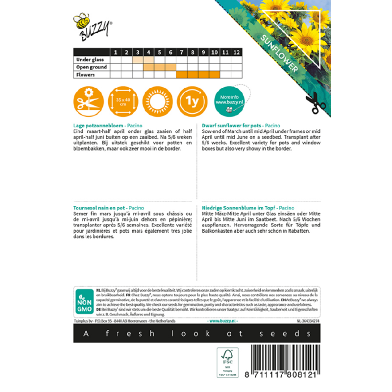 Buzzy® Sunny Flowers, Sunflower Pacino