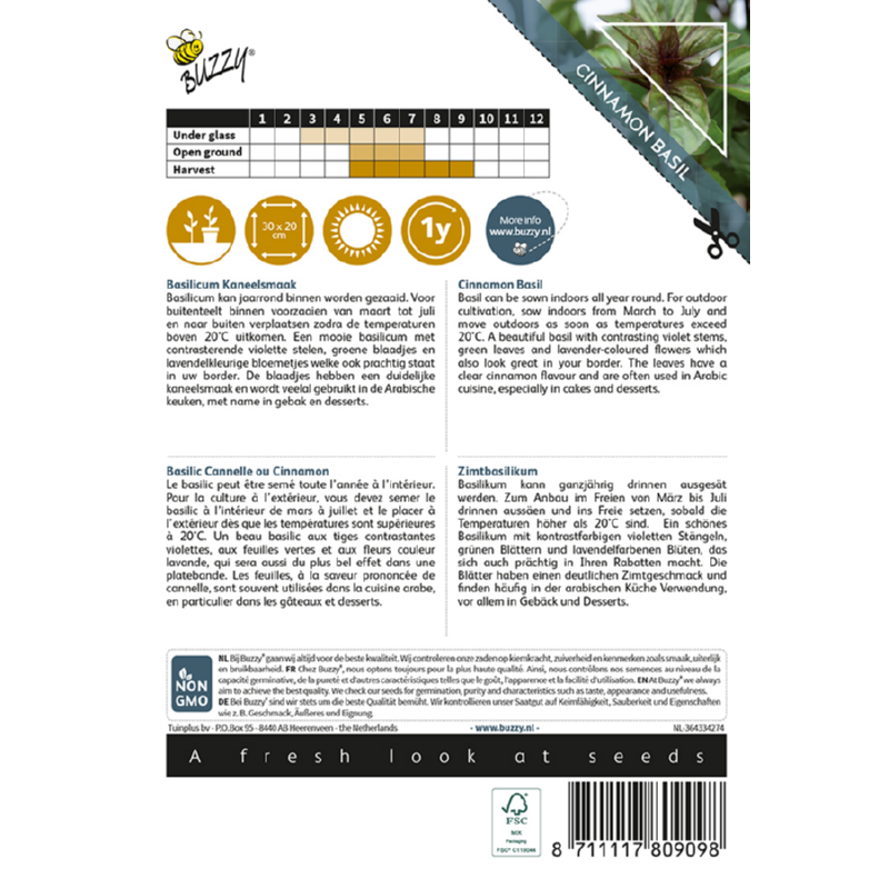 Buzzy® Kaneelbasilicum