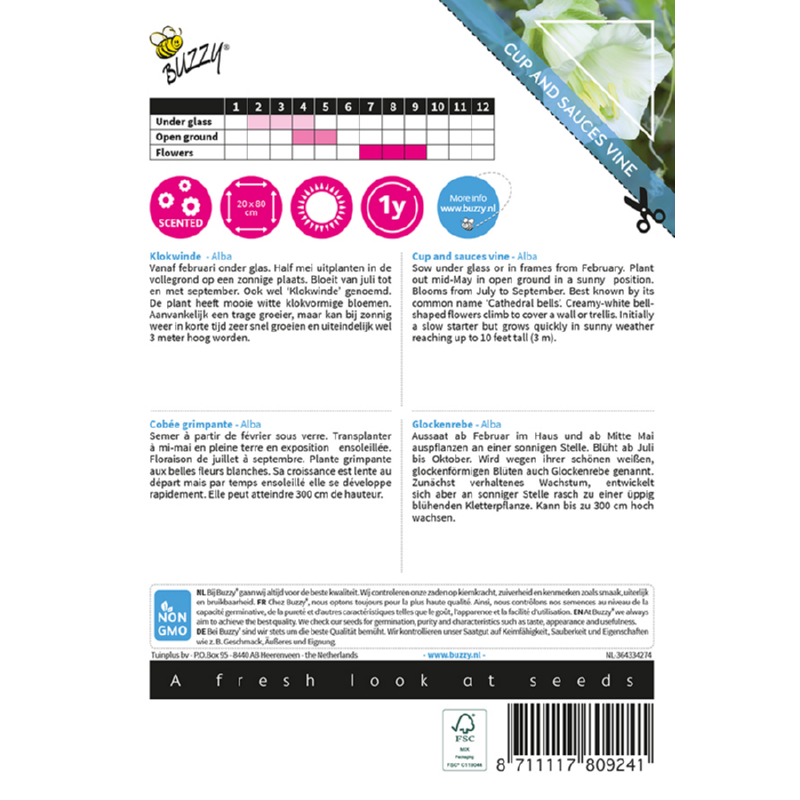 Buzzy® Climbing Flowers, Cobaea Alba white