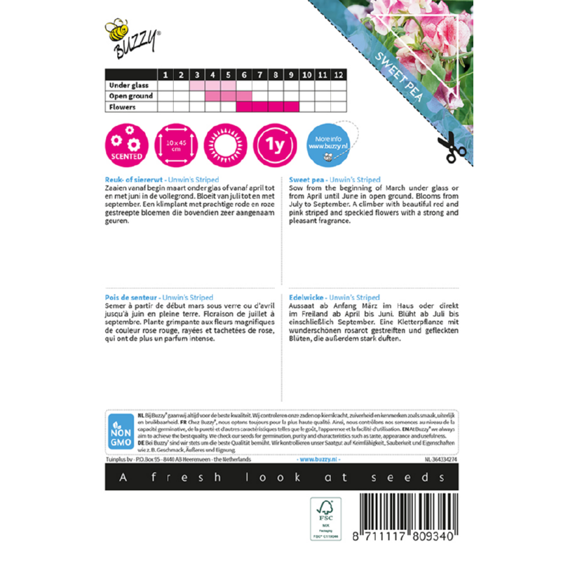 Buzzy® Climbing Flowers, Lathyrus Unwin's Striped