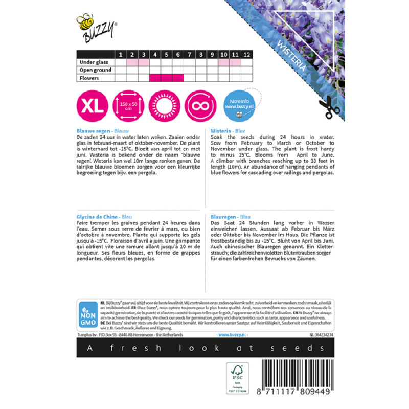 Buzzy® Climbing Flowers, Wisteria, Blauwe regen