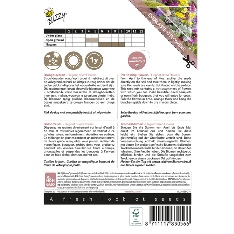 Buzzy® Colourful Bouquets, Elegant dried flowers