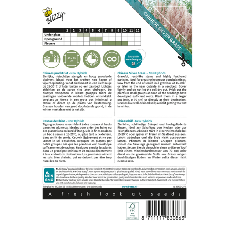 Buzzy® Ornamental Grasses, Chinese Silver Grass 'New Hybrids