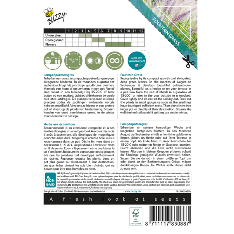 Buzzy® Ornamental Grasses, Fountain Grass