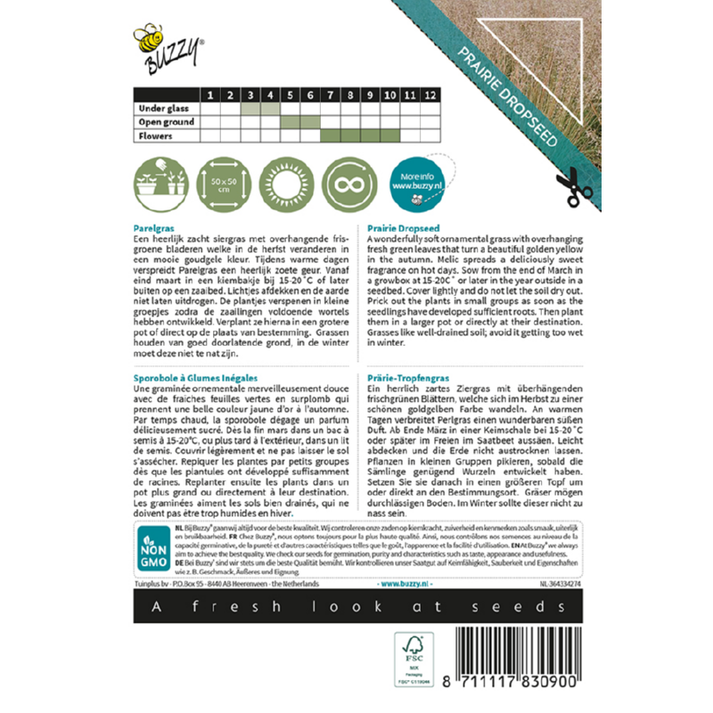 Buzzy® Ornamental Grasses, Prairie Dropseed