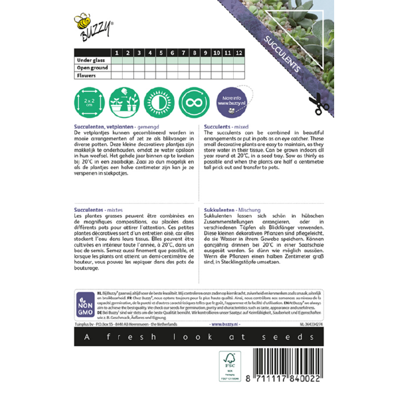 Buzzy® House Plants Mixed Succulents, vetplanten