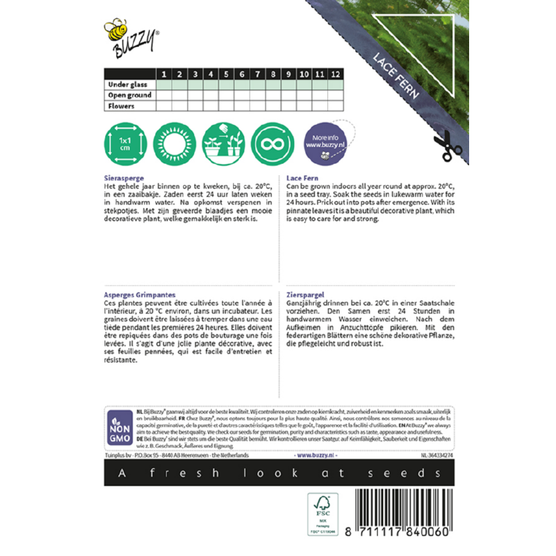 Buzzy® House Plants Asparagus, Lace Fern