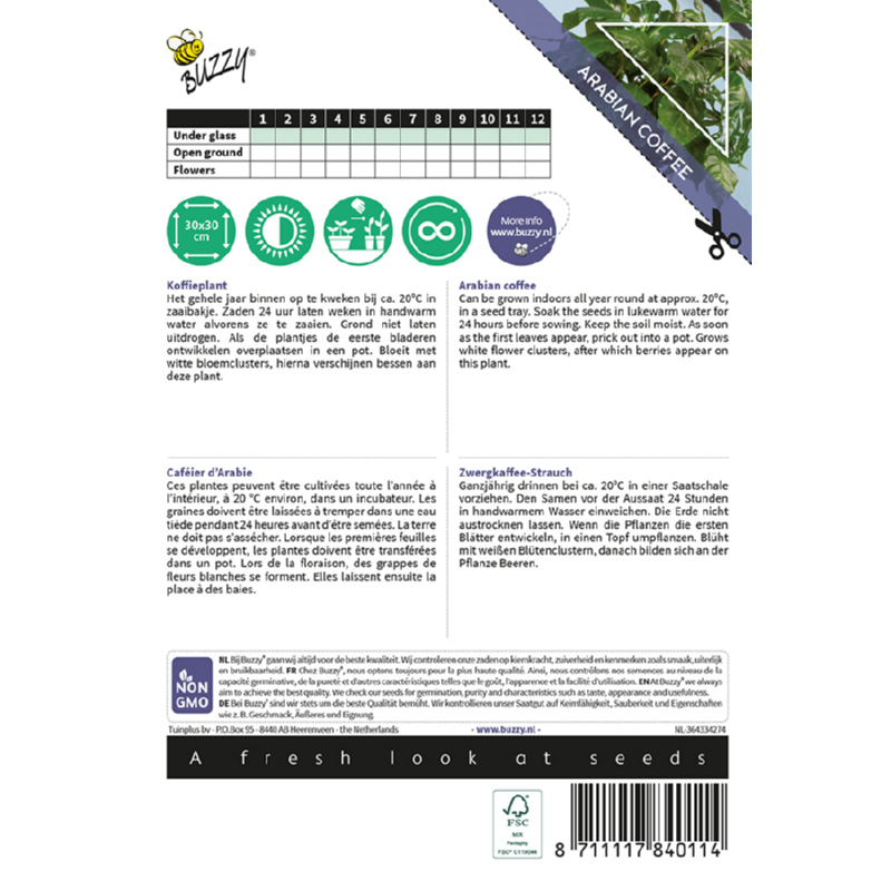 Buzzy® House Plants Coffea Arabica, Koffieplant