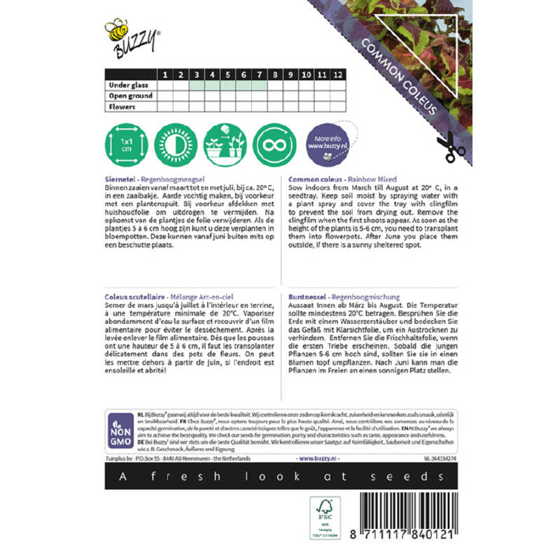 Buzzy® House Plants Coleus, Siernetel Rainbow mix