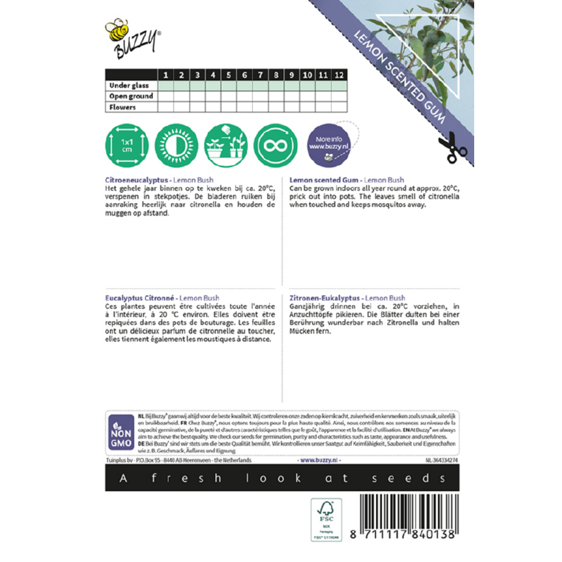 Buzzy® House Plants Eucalypthus, Lemon Bush-10 zdn