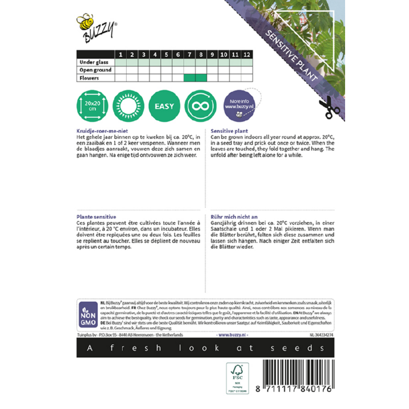 Buzzy® House plants Mimosa pudica Sensitive plant
