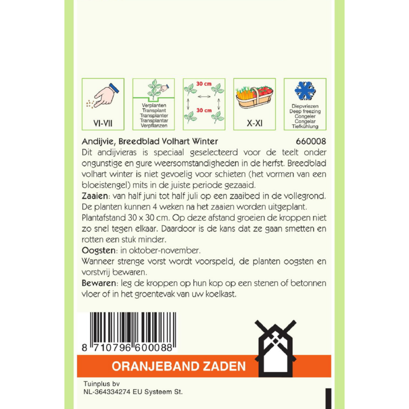 Oranjeband® Endive Avant Garde Winter Brdl.