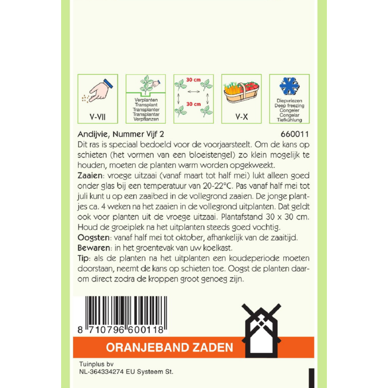 Oranjeband® Endive Batavian No.5 - 2, Broadleaved