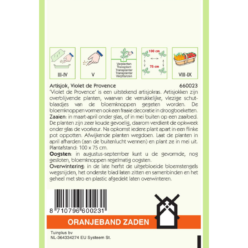 Oranjeband® Artichoke Violet De Provence